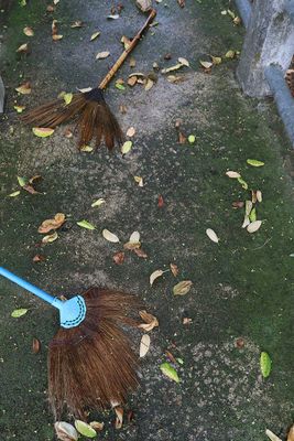 brooms and leaves.jpg