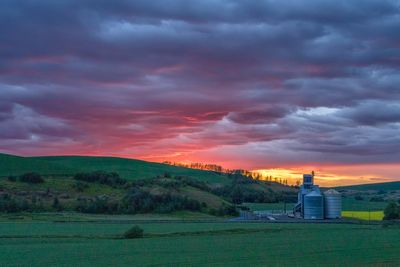 The Palouse 2024
