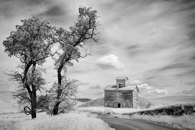 Infrared Shots from the Palouse