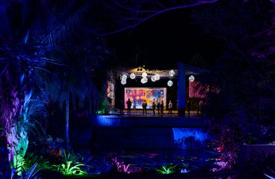 Christmas Lights 2024