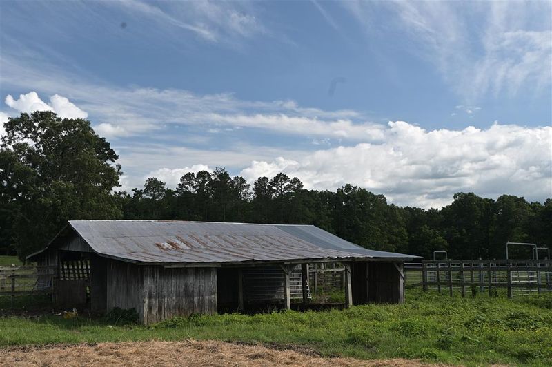 Barnshot on Way To Barkshed