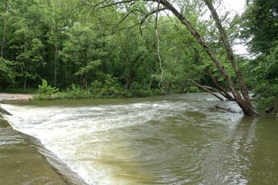Boy The Water Was High