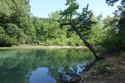 Illinois Bayou 
