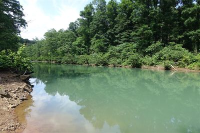 Illinois Bayou 