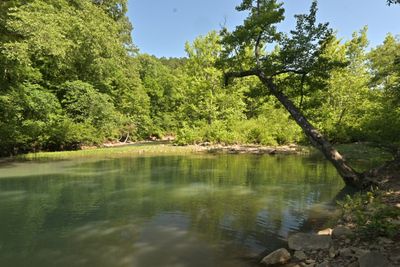 Illinois Bayou 