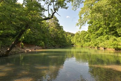 Illinois Bayou 
