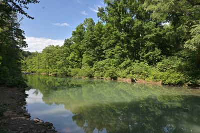Illinois Bayou 