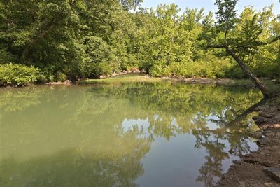 Illinois Bayou 