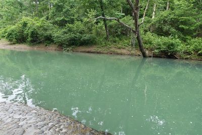 Illinois Bayou The Main Spot 