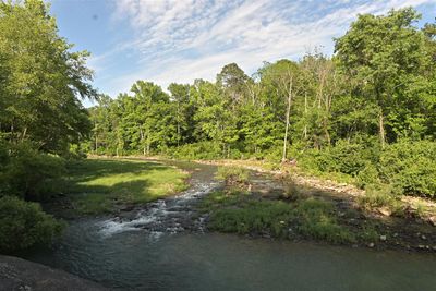 Bayou Bluff