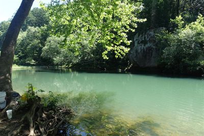 The Spot