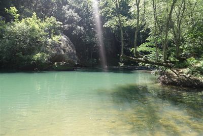 The Spot