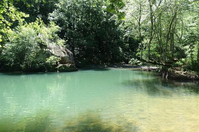 The Spot