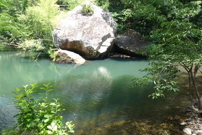 Archey Fork, Entrance