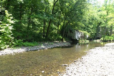 Archey Fork, Side View To The Right