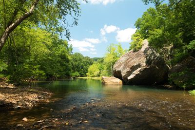 Archey Fork, Retouched Photo