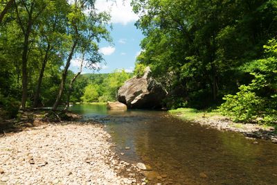 Archey Fork, Side View