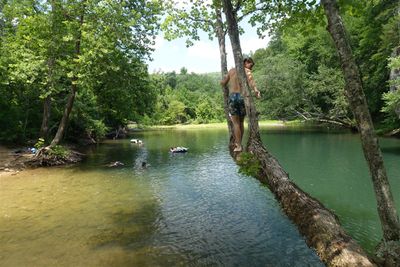 Archey Fork, Adrian About To Jump From Tree