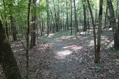 South Fork Nature Center, Trail