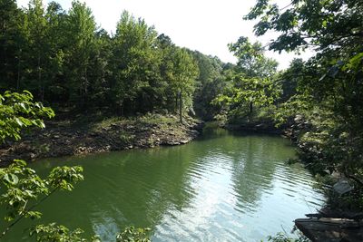 View Of Lake At South Fork Nature Center