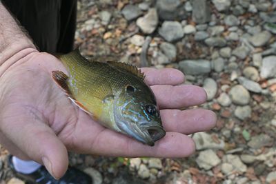 Kevin Was Holding Fish For Me To Photograph For Him