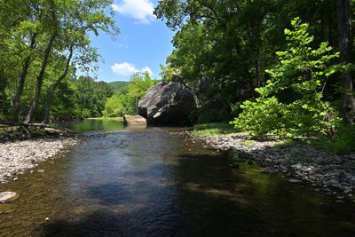 Archey Fork, Scenery
