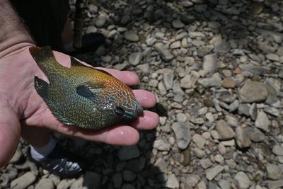 Kevin Was Holding Fish For Me To Photograph For Him