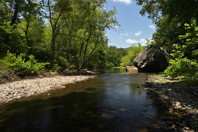 Archey Fork, Retouched Photo
