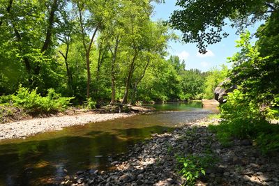 Archey Fork, Retouched Photo