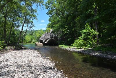 Archey Fork, Blufton Preserve