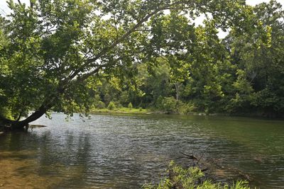 (20240716_155605_ooc_z50)