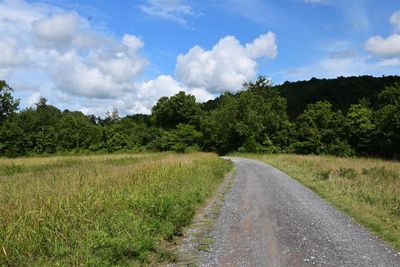 Scenery Into Shine Eye
