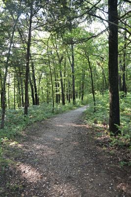Scenery At Collier Homestead