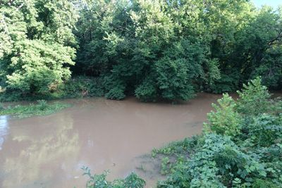 Red River Cafe, Scenery Behind The Restaurant
