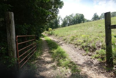 Entrance To Cabin