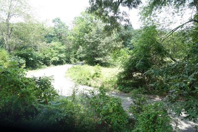 Cabin, Barren Hollow Road