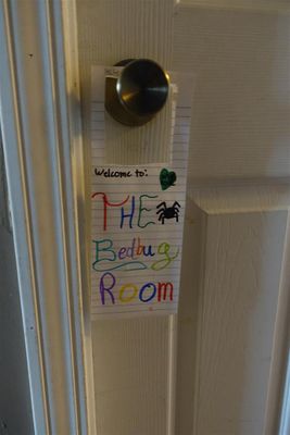 Bed-Bug Room Door Decal