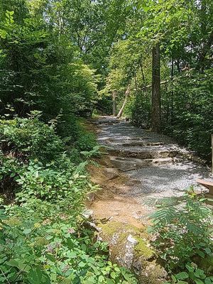 Natural Bridge #1