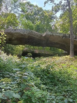Natural Bridge #4