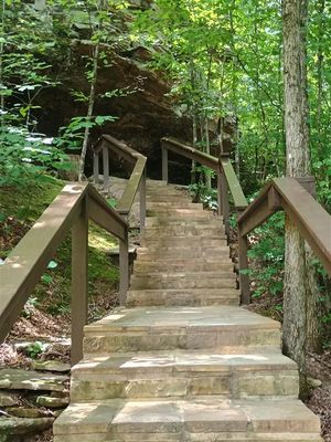 Natural Bridge #7