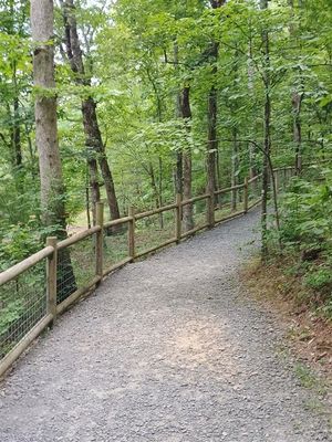 Natural Bridge #8