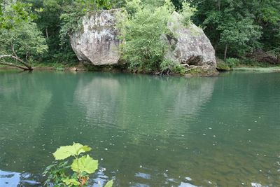 Archey Fork Scenery