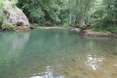 Archey Fork Scenery
