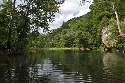Archey Fork Scenery