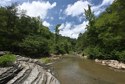 Scenic View of Six Finger Falls