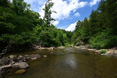 Scenery at Six Finger Falls