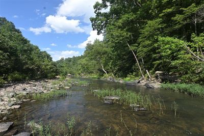 Branch Hollow