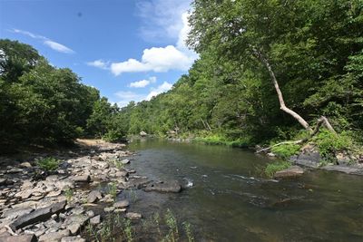Branch Hollow