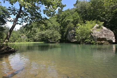 Archey Fork Scenery