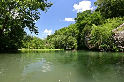 Archey Fork Scenery
